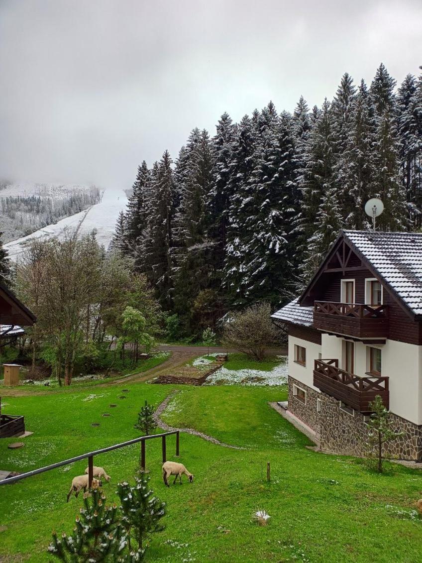 Apartman Grun -Vratna-Paseky Žilina Dış mekan fotoğraf